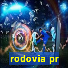 rodovia pr-317 km 155 onde fica